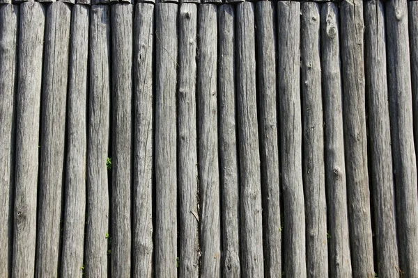 Textura de troncos de madera — Foto de Stock