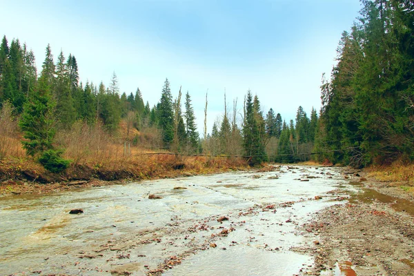 Rivière montagneuse dans la forêt des Carpates — Photo