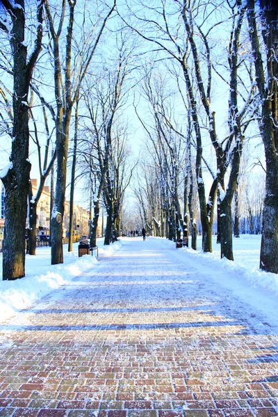 Διαδρομή στο πάρκο της πόλης χειμώνα — Φωτογραφία Αρχείου
