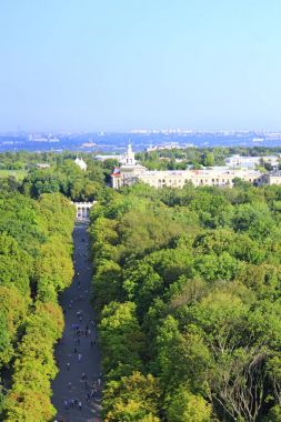 bir kuş bakışı şehir park manzarası. Üstten Görünüm