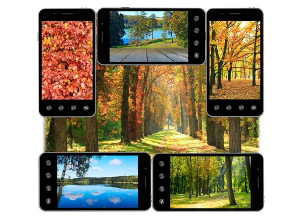 Мобильные телефоны с образами осени — стоковое фото