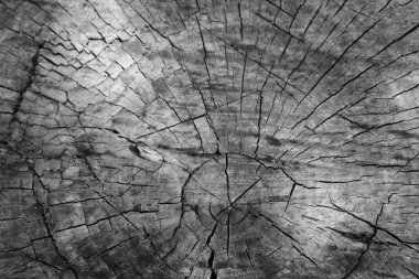 Ahşap vintage doku. Eski dokulu arka plan