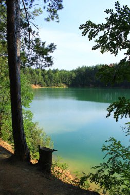 Zümrüt suyla birlikte orman gölü. Güzel su manzarası