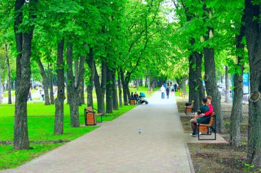 Şehir Parkı mesire yolu banklar ve yeşil ağaçları ile. İnsanlar şehir parkında dinlen