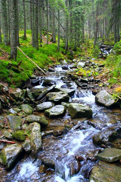 Гірська річка швидкого струмом. Бурхлива гірська річка. — стокове фото