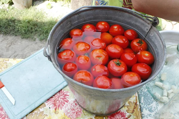 Los tomates en cubo de agua están listos para la conservación — Foto de Stock