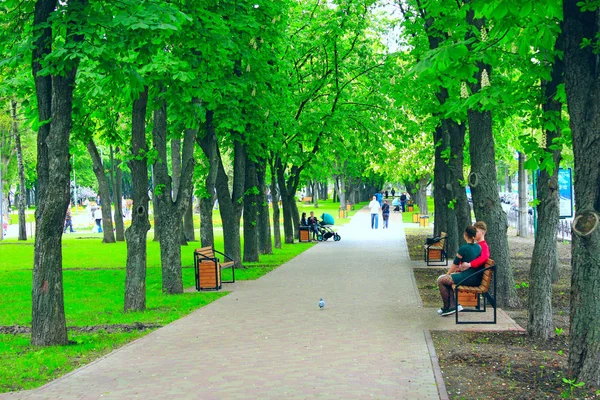 Parque da cidade com bancos de calçadão e árvores verdes. As pessoas têm um resto no parque da cidade — Fotografia de Stock