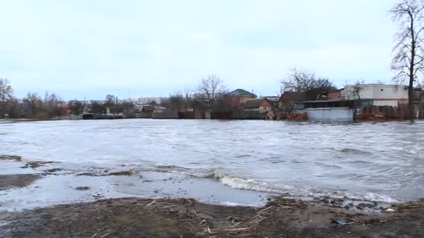 Powódź Rzeki Wiosną Mieście Podczas Topnienia Śniegu Klęski Żywiołowej — Wideo stockowe