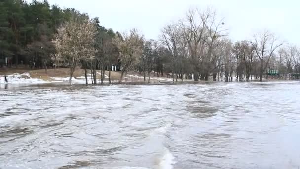 Inundación Río Primavera Ciudad Durante Derretimiento Nieve Inundaciones Ciudad Inundación — Vídeos de Stock