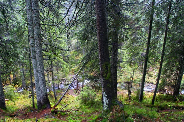 Berg höst landskap med skog stora stenar och stenblock — Stockfoto
