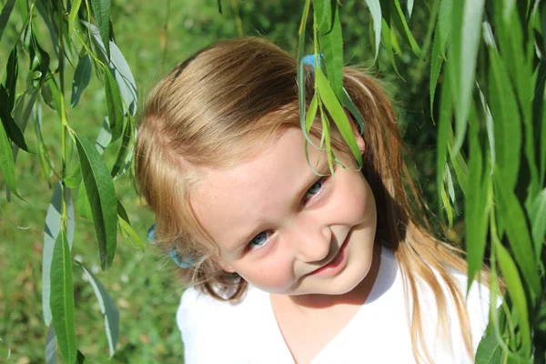 Portret van een jong meisje met mooie braidsstanding onder bladeren van de wilg — Stockfoto