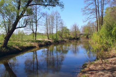 Bahar Nehri ile manzara. Ağaçlar ve çalılar suda yansıtılır
