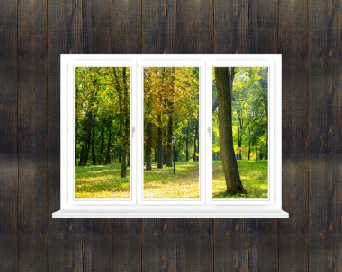 sonbahar parkı manzaralı panoramik pencere