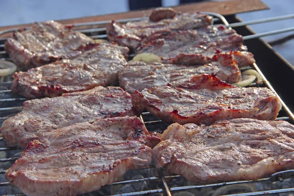 Trozos de carne con cebolla se cocinan en la barbacoa. Cocinar carne durante el picnic —  Fotos de Stock