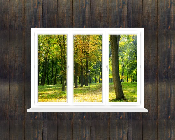 Panoramic window in room with view to autumnal park — Stock Photo, Image
