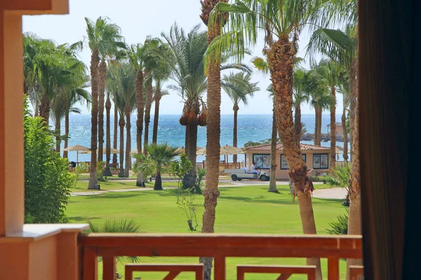 Blick aus dem Fenster des tropischen Resorts in Ägypten — Stockfoto