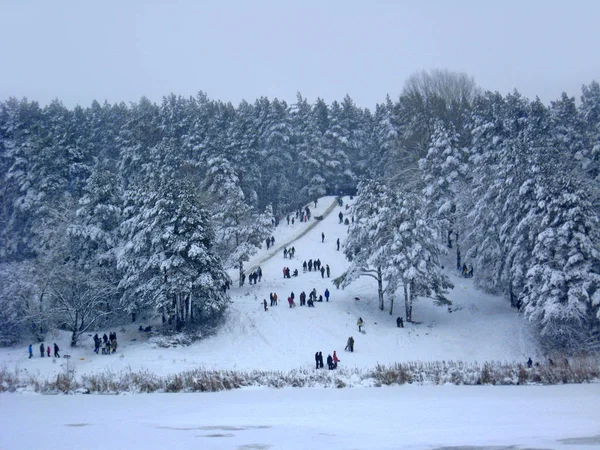 Οι άνθρωποι διασκεδάζουν στο χιονισμένο δάσος. Όμορφο χειμερινό πανόραμα — Φωτογραφία Αρχείου