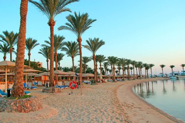 Palmiye ağaçları, kum ve kumlu plajlı tropik tatil köyü manzarası