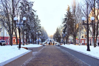 Gezinti yolu ve karla kaplı ağaçlarla dolu güzel bir park. Boş şehir parkı