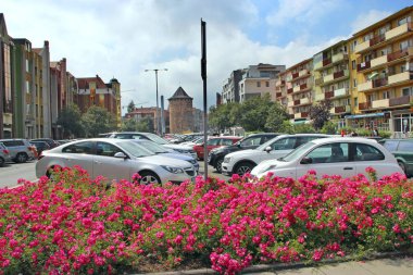 Gdansk 'taki evlerin arasında güzel kırmızı güller yetişiyor.