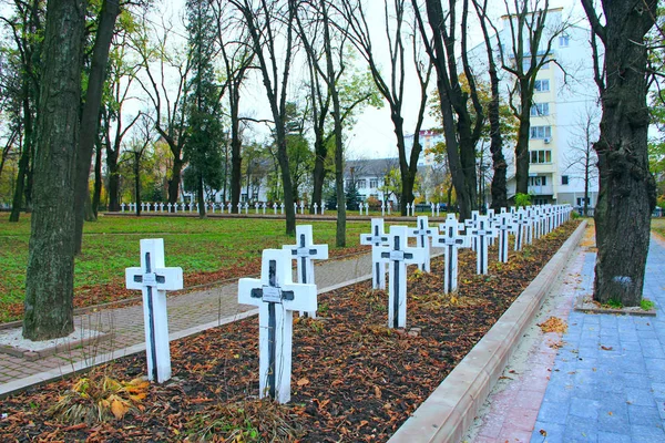 Кладбище с могилами украинских солдат, борющихся за независимость Украины — стоковое фото