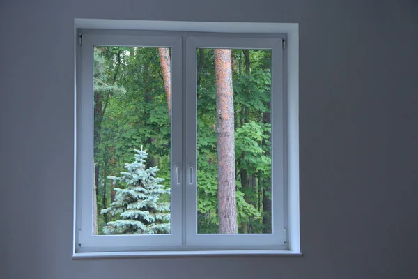 맑은 방에서 숲을 내려다 보고 있는 커다란 창문 — 스톡 사진