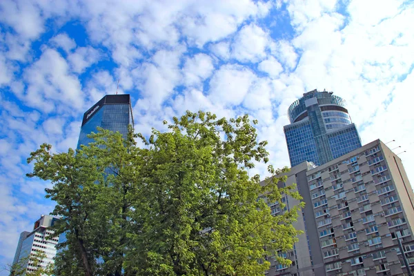 Doğa ve modern şehrin bir arada yaşaması. Varşova 'da gökdelene karşı büyüyen ağaç — Stok fotoğraf