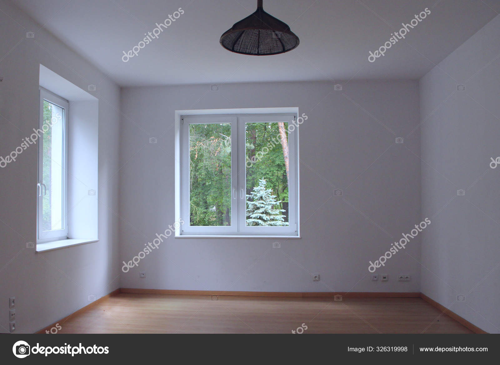 Empty clear room with window overlooking forest