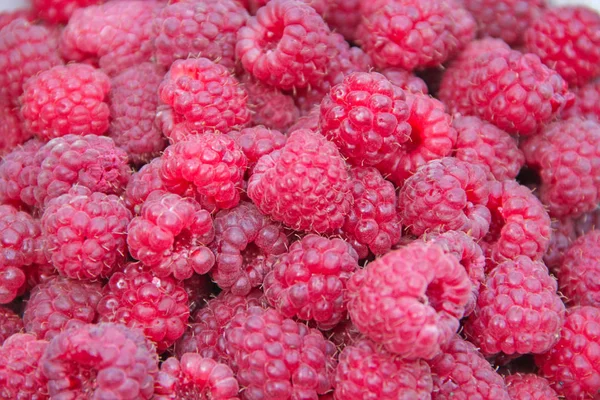 Rote Himbeeren im Haufen. Haufen reifer Beeren — Stockfoto