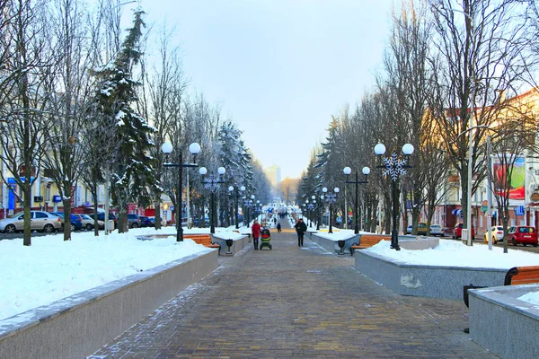 美丽的公园小巷，冬日阳光明媚，长满了长椅和树木 — 图库照片