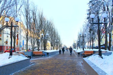 Ağaçlı bankların olduğu kış parkı. Sokakta yürüyen insanların olduğu şehir sahnesi