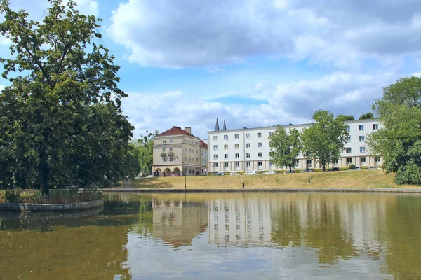 Vacker park med stora gröna träd som växer på ön i sjön. Stadsnatur — Stockfoto