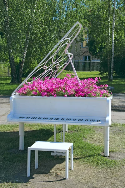 Klavier mit Noten und Petunien, die darin blühen. Tasteninstrument — Stockfoto