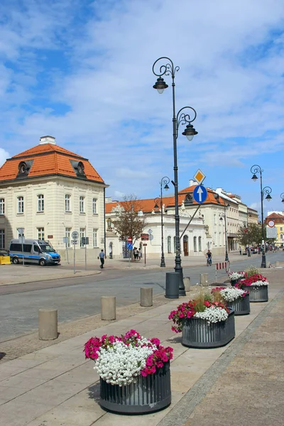 Květiny ve městě pouliční dekorace. Městská příroda ve Varšavě — Stock fotografie