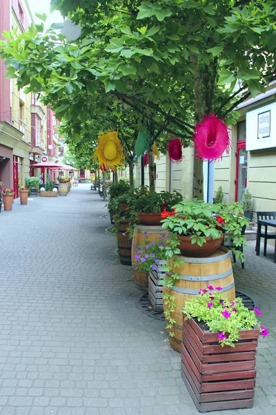 Flores em decoração de rua da cidade. Natureza urbana em Varsóvia — Fotografia de Stock