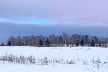 Kış kırsalında orman üzerinde mavimsi bulutlar