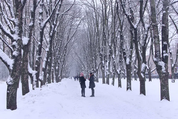 Δύο φίλες συζητούν στο χειμερινό πάρκο κατά την χιονόπτωση — Φωτογραφία Αρχείου