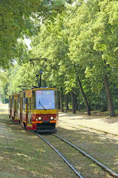 现代有轨电车在有许多绿树的公园中穿梭于城市之间 — 图库照片