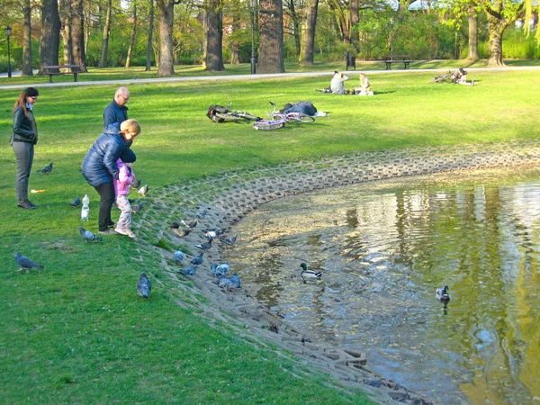 Les gens nourrissent les pigeons et les canards dans le parc de la ville. Les citadins se détendent dans la nature — Photo