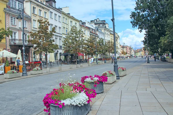Flores em decoração de rua da cidade. Natureza urbana em Varsóvia — Fotografia de Stock