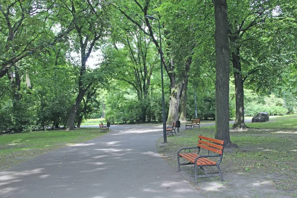 Benches in beautiful park with many green trees — 스톡 사진
