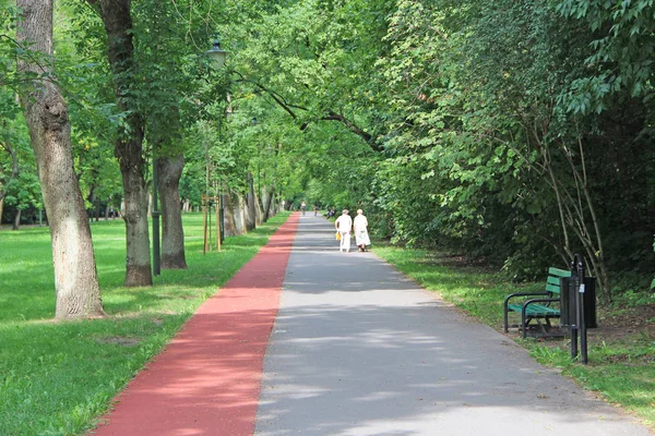 Parco estivo con sentiero e tapis roulant tra alberi verdi — Foto Stock