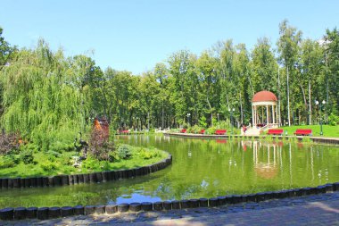 Şehir parkındaki ağaçlı göl. Şehir parkında peyzaj tasarımı