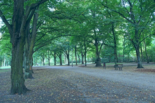 Ławki w pięknym parku z wieloma zielonymi drzewami — Zdjęcie stockowe