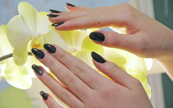 Female hand with beautiful manicure touching flowers of orchid. Human fingers — 스톡 사진