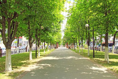 İnsanlar banklar ve çelenklerle parkta dinleniyorlar. Dinlenmek için yer