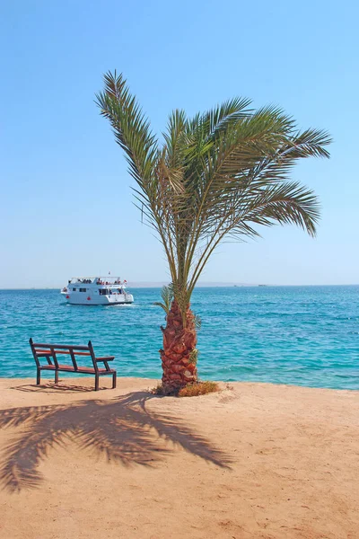 Widok na tropikalną wyspę z palmami i promenadą na morzu — Zdjęcie stockowe