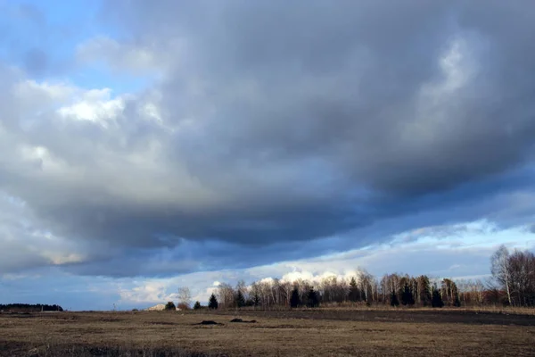 Landschaft Mit Gewitterwolken Über Feld Und Wald Regenströme Der Ferne — Stockfoto