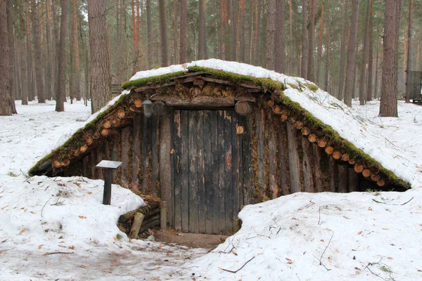 在冬季森林里的抛头露面 二战期间苏联游击队在乌克兰森林中建造的土屋 森林战争博物馆 — 图库照片