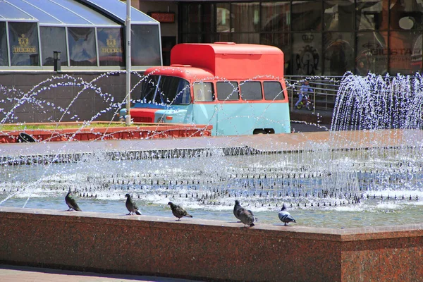 Homel Białoruś Maja 2018 Gołębie Myjące Się Miejskich Fontannach Miejskie — Zdjęcie stockowe